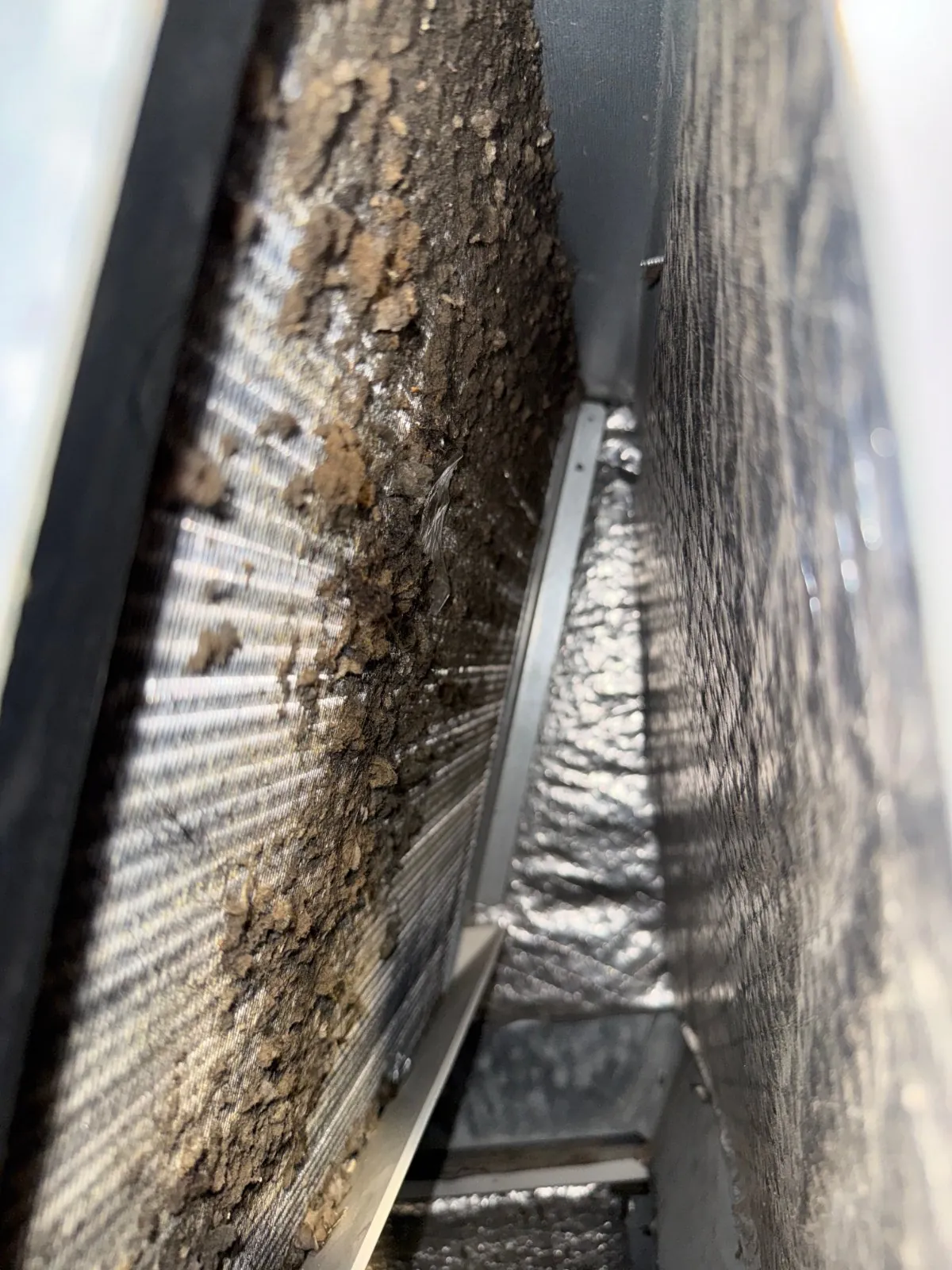 Dirty indoor evaporator coil before cleaning, Deer Park NY