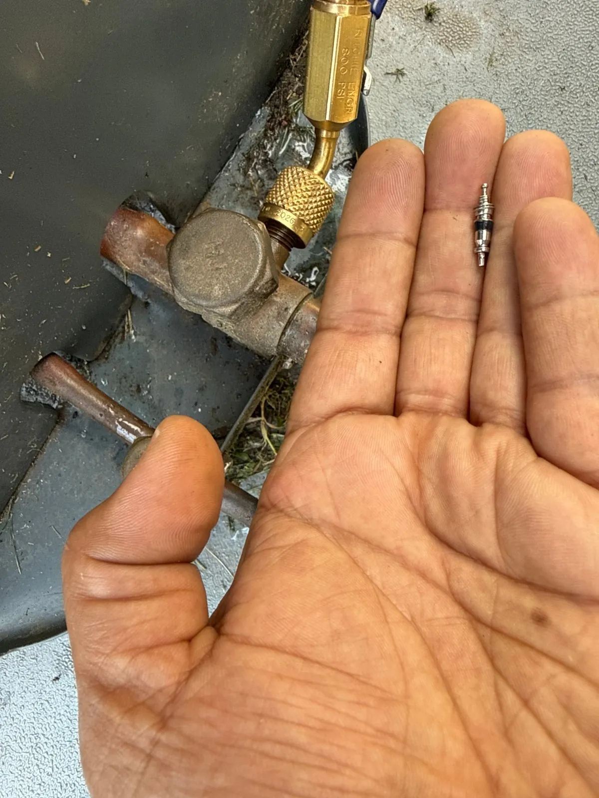 Leaking Schrader core removed from the suction service valve, Deer Park NY