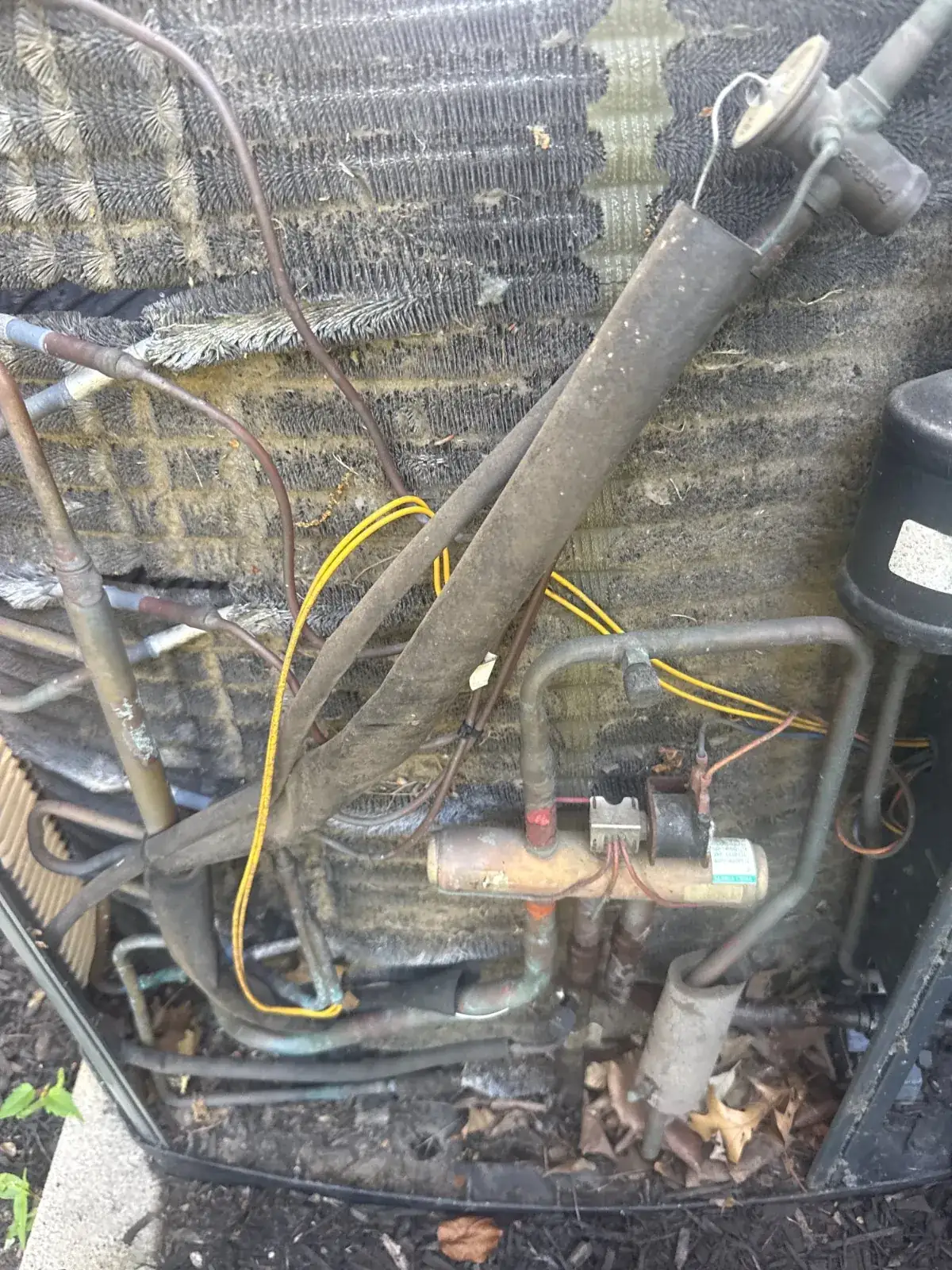 Inside the second-floor condenser, Huntington NY