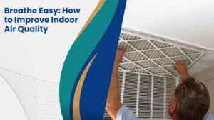 Breathe Easy: How to Improve Indoor Air Quality