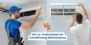 DIY VS Professional HVAC Expert